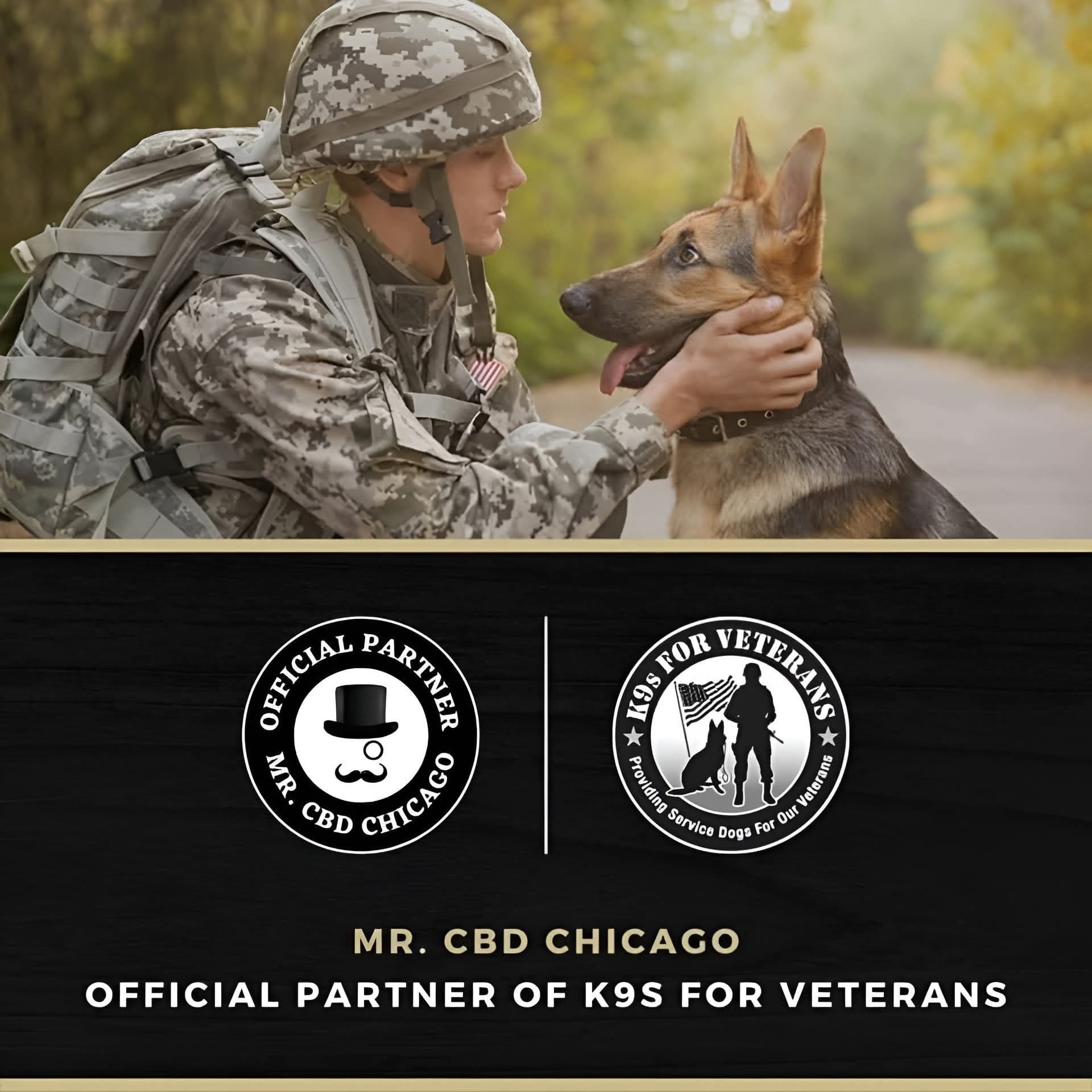 Mr. CBD Chicago, official partner of K9s for Veterans, NFP — providing service dogs for our veterans